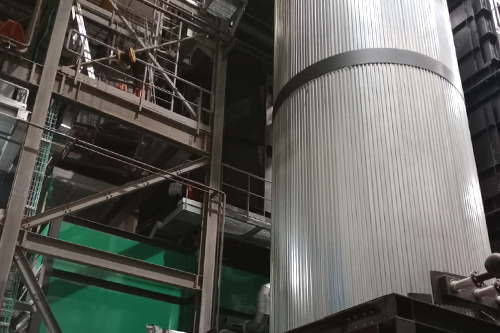 Vpower_plants_Belgica_