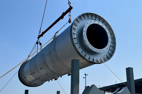 Vpower_plants_Valencia_Japon_